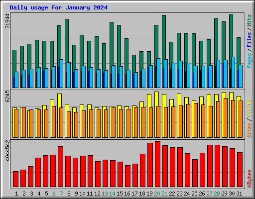 Daily usage for January 2024