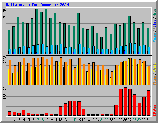 Daily usage for December 2024