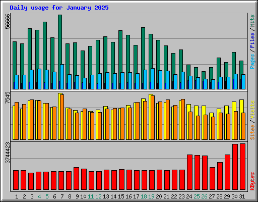 Daily usage for January 2025