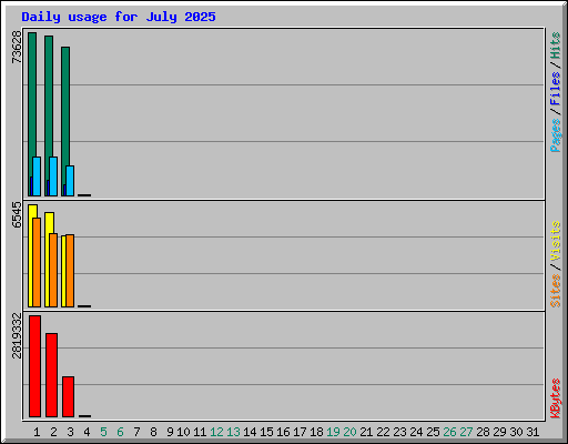 Daily usage for July 2025