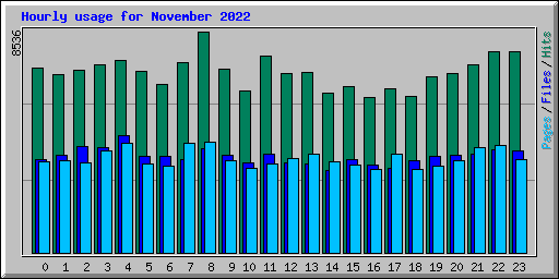 Hourly usage for November 2022