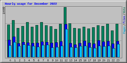 Hourly usage for December 2022