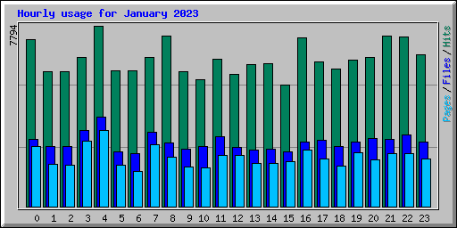Hourly usage for January 2023