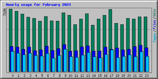 Hourly usage for February 2023