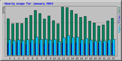 Hourly usage for January 2024