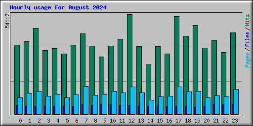 Hourly usage for August 2024