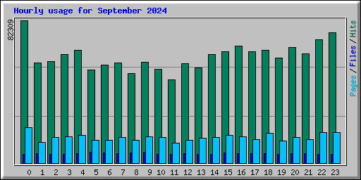 Hourly usage for September 2024