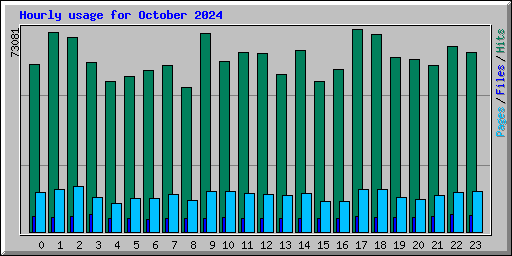 Hourly usage for October 2024