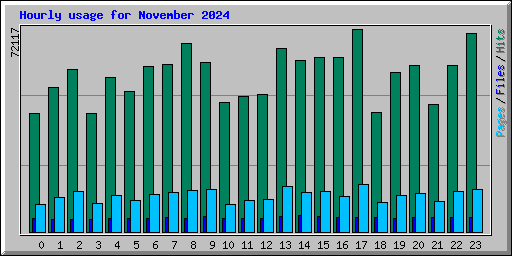 Hourly usage for November 2024