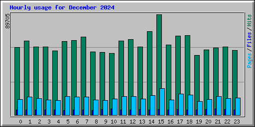 Hourly usage for December 2024
