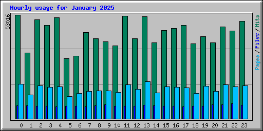 Hourly usage for January 2025