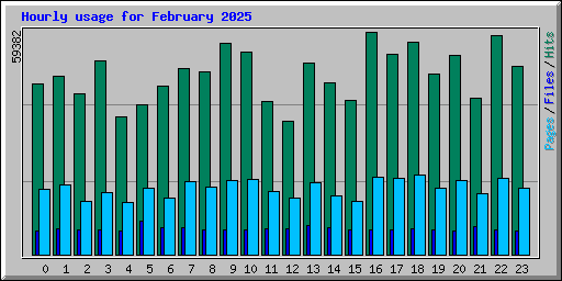 Hourly usage for February 2025