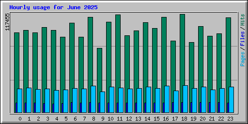 Hourly usage for June 2025
