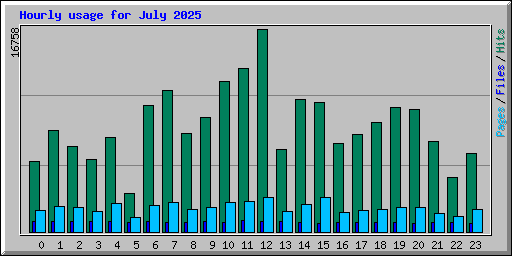 Hourly usage for July 2025