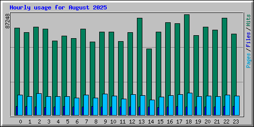 Hourly usage for August 2025