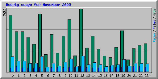 Hourly usage for November 2025