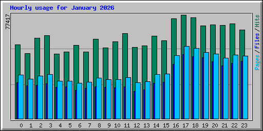 Hourly usage for January 2026