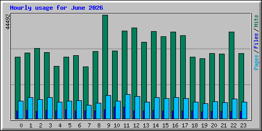 Hourly usage for June 2026