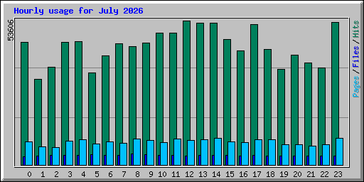 Hourly usage for July 2026