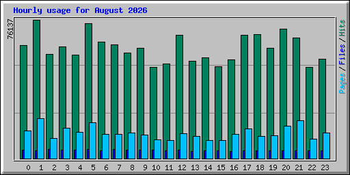 Hourly usage for August 2026
